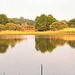 Chérine  IMG 7685